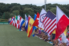 flags